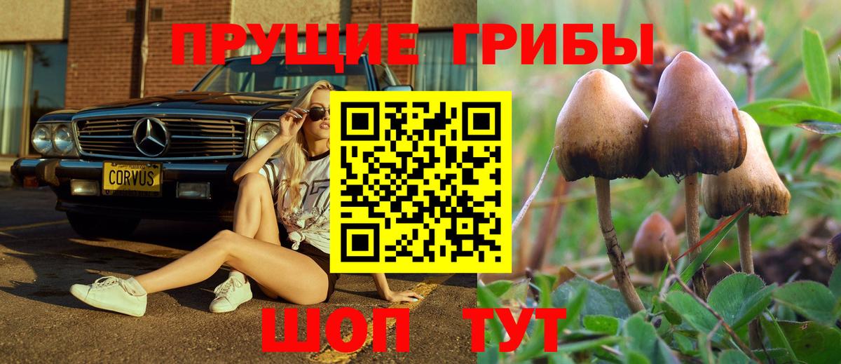 Псилоцибиновые грибы мицелий  Галлюциногенные грибы мицелий  Лянтор  Вход с VPN 